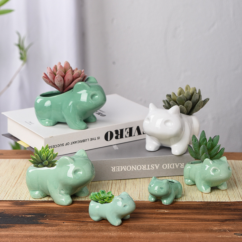 Creative Succulent Planter Pot - Echeveria Succulent review and price