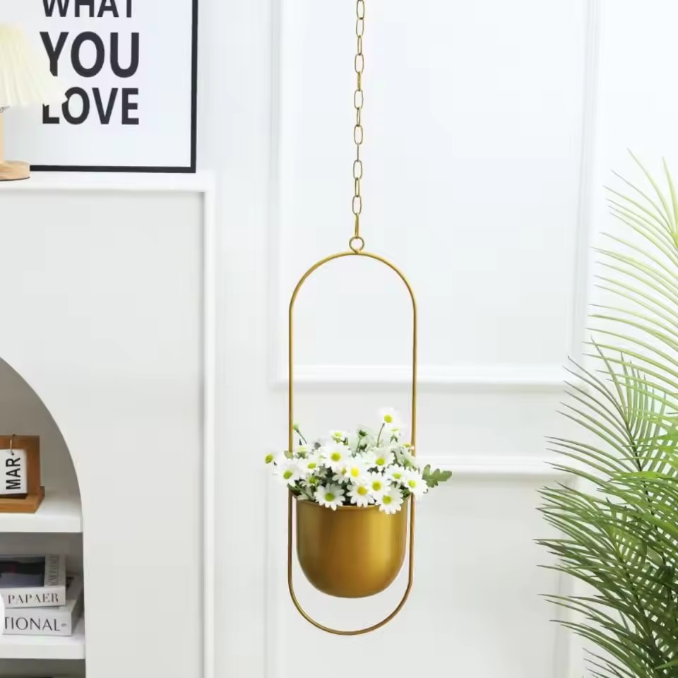 Creative Iron Plant Hanging Ba - Echeveria Succulent review and price