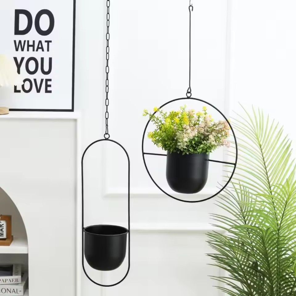 Creative Iron Plant Hanging Ba - Echeveria Succulent review and price