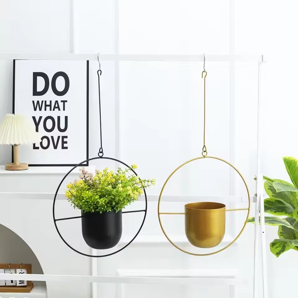 Creative Iron Plant Hanging Ba - Echeveria Succulent review and price