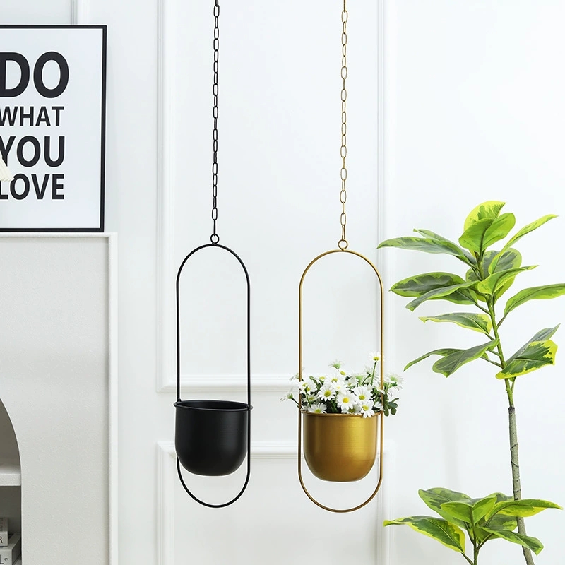 Creative Iron Plant Hanging Ba - Echeveria Succulent review and price