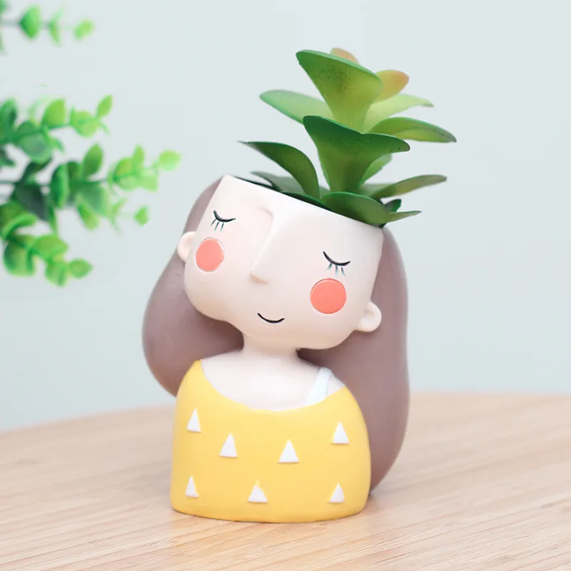 Lovely Girl Flower Pot for Suc - Echeveria Succulent review and price