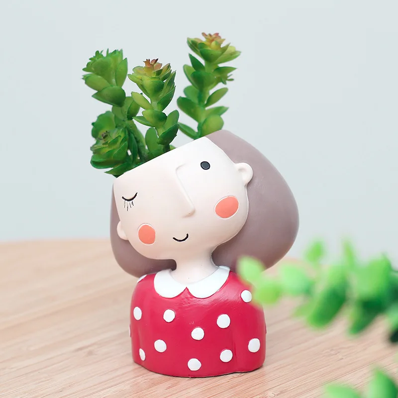 Lovely Girl Flower Pot for Suc - Echeveria Succulent review and price