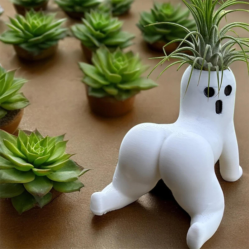 Funny Big Booty Ghost Planter  - Echeveria Succulent review and price