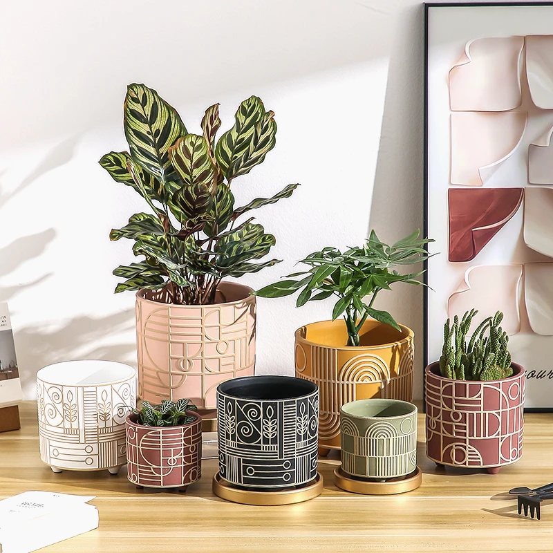 Simple Cylindrical Ceramic Flo - Echeveria Succulent review and price