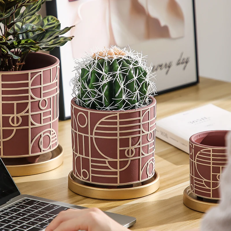 Simple Cylindrical Ceramic Flo - Echeveria Succulent review and price