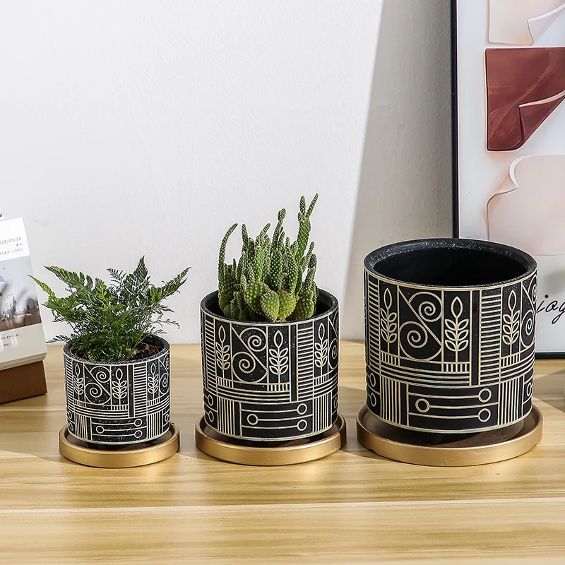 Simple Cylindrical Ceramic Flo - Echeveria Succulent review and price